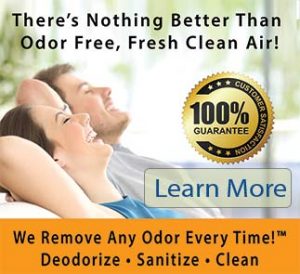 odor removal solutions - Georgia Jacks carpet cleaning | Atlanta, GA